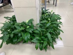 -上海市黄浦区牙病防治所(江西中路门诊部)