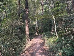 -九曜山
