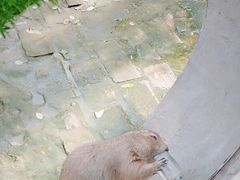 -北京鹿世界主题园