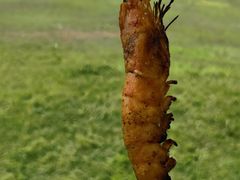 -渭河城市绿地运动公园