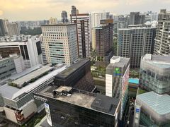 -新加坡乌节希尔顿酒店 (SG Clean)