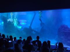 -江和美海洋公园
