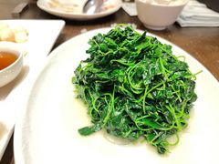 -品悦(崇明凯悦店)