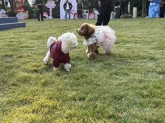 -上海神旺大酒店