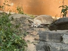 -杭州少年儿童公园