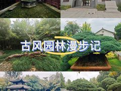 -水绘园