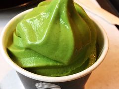 -雪绿茶博物馆