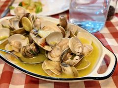 -安立可意大利美食