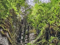 -梭布垭石林景区