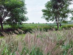 -汉长安城未央宫国家考古遗址公园