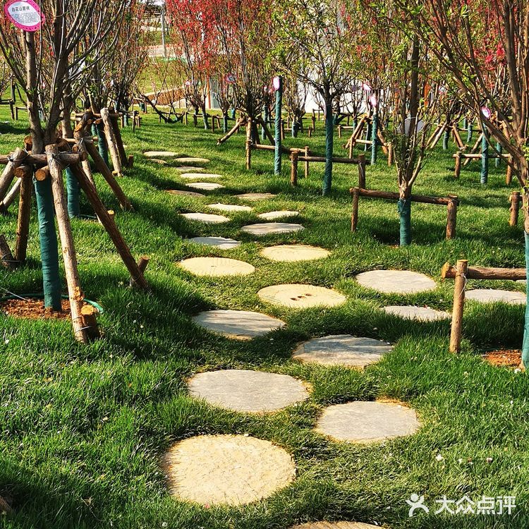 南京.江北新区.桃湖公园