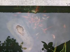 -阳春市花园酒店