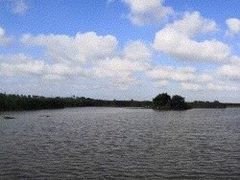 -盐城丹顶鹤湿地生态旅游区