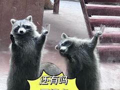 -杭州野生动物世界