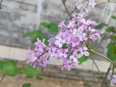 -三里河公园