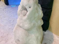 -世界之窗阿尔卑斯冰雪世界