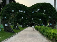 -东南花都花博园