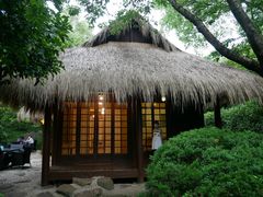 -中国茶叶博物馆(双峰馆区)