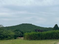 -秦始皇帝陵博物院-丽山园