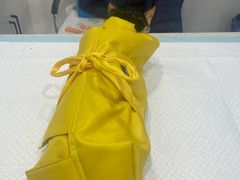 -爱哆宠物医院·骨科·外科·猫科