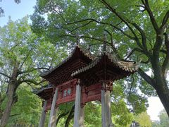 -汇龙潭