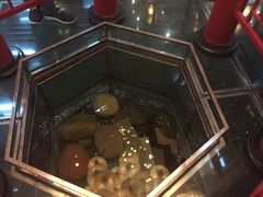 潇湘曾府养生园(清河店)-潇湘甲鱼村(清河店)