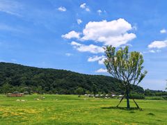 -南北湖风景区