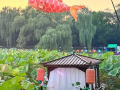 -北陵公园