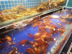 -甄品麦哲伦海鲜和牛自助(万达广场店)