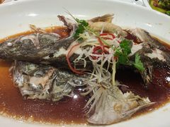 -双井轩(双井店)