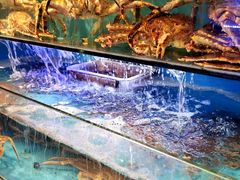 水产区-星龙海鲜(望江东路店)