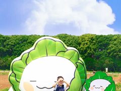 -阳澄湖半岛旅游度假区