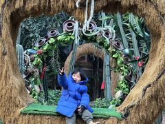 -呀路古热带植物园