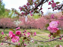 -莲花池公园