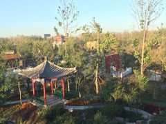 -武清南湖绿博园