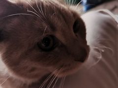 -北京市中关村医院