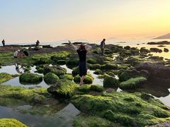 -碧桂园十里银滩