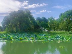 -无锡蠡湖国家湿地公园-蠡园