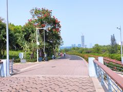 -深圳湾公园(南山区)