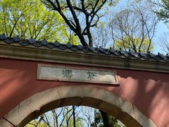 -灵谷景区