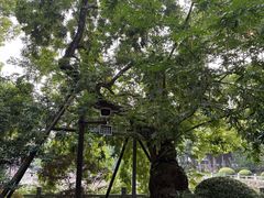 -汇龙潭