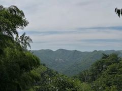 -藏龙百瀑风景区