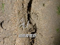 -秦皇岛秦皇国际大酒店