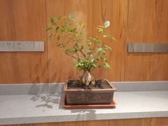 -大渔小鲜火锅店