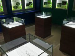 -上海昆虫博物馆