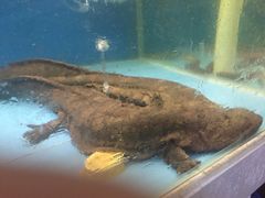 -禾田下生态餐厅(华天城总店)