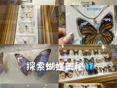 -上海大自然野生昆虫馆(东方明珠·爬宠昆虫探索中心)
