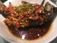 -费大厨辣椒炒肉(高铁吾悦广场店)
