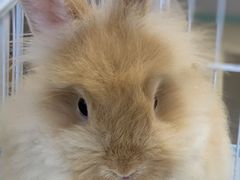 -怪兽屋·羊驼·猫咖·狗咖(俊华广场店)