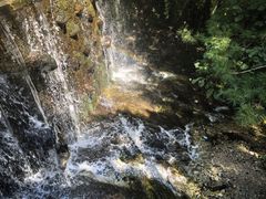 -王顺山国家森林公园